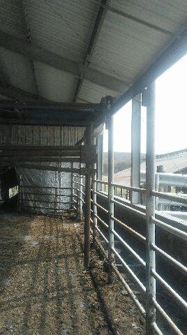 Crowd Gate Side - Dairy Train Classifieds
