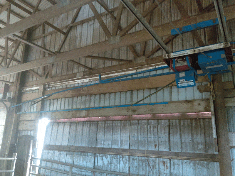 Crowd - Dairy Train Classifieds