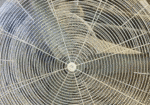 Used 4 ft Barnstormer Fans