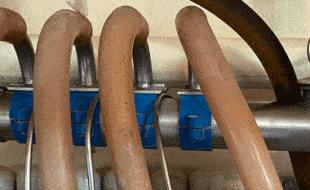 Fd Wash Manifold 2 - Dairy Train Classifieds