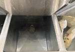 Colostrum Pasteurizer - view of Pre-Warmer cabinet