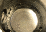 Used Fresh Cow Milker Pail showing clean inside