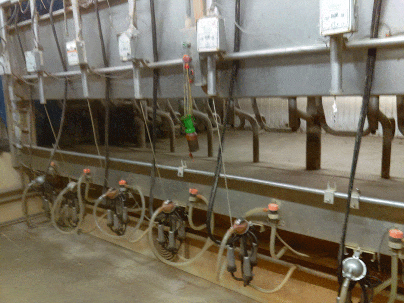 Pmni 1 - Dairy Train Classifieds