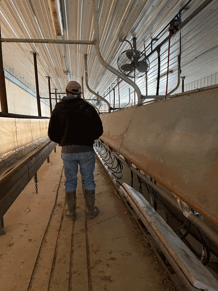 S 3 1 - Dairy Train Classifieds