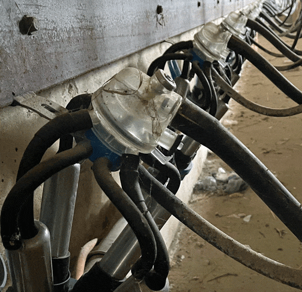 S 6 3 - Dairy Train Classifieds