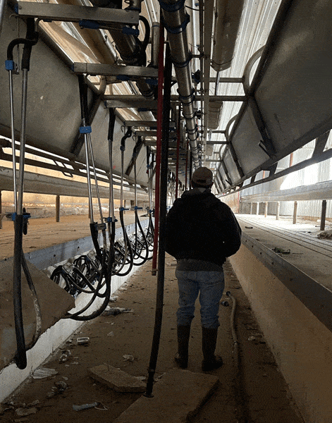 S 7 1 - Dairy Train Classifieds