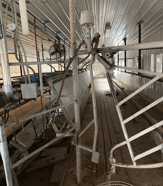 S 8 1 - Dairy Train Classifieds
