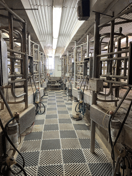 Unnamed 14 1 - Dairy Train Classifieds
