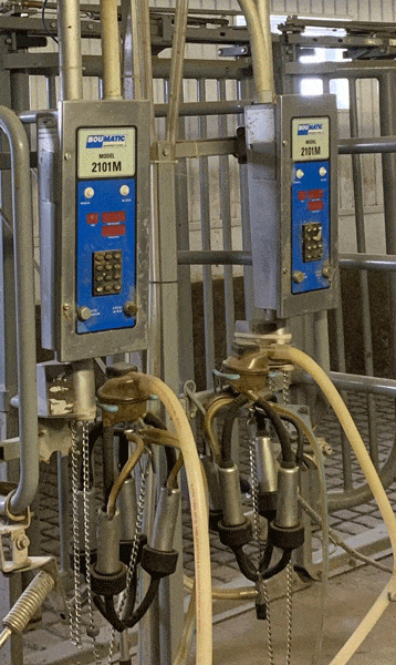 Vander D 2 - Dairy Train Classifieds